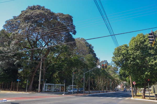 MARIO GAMES, Av. Assis Chateaubriand, 365 - St. Oeste, Goiânia