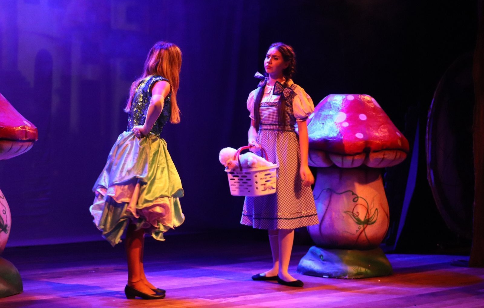  Festival de Teatro Popular de Goiânia reúne 30 espetáculos gratuitos