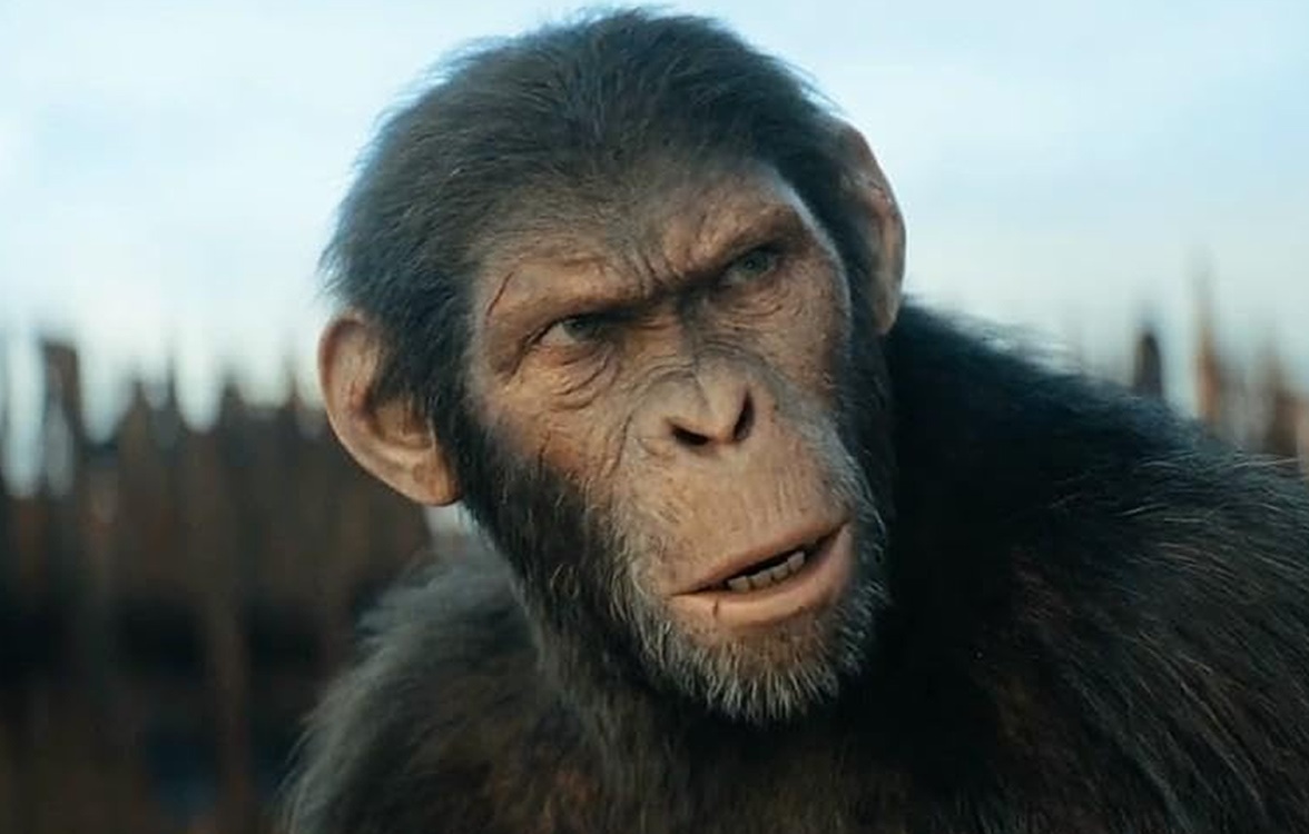 'Planeta dos Macacos' ganhará novo filme em 2027