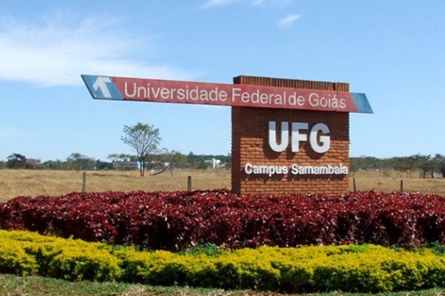 11 de 16 cursos da UFG avaliados pelo MEC em 2024 recebem nota máxima