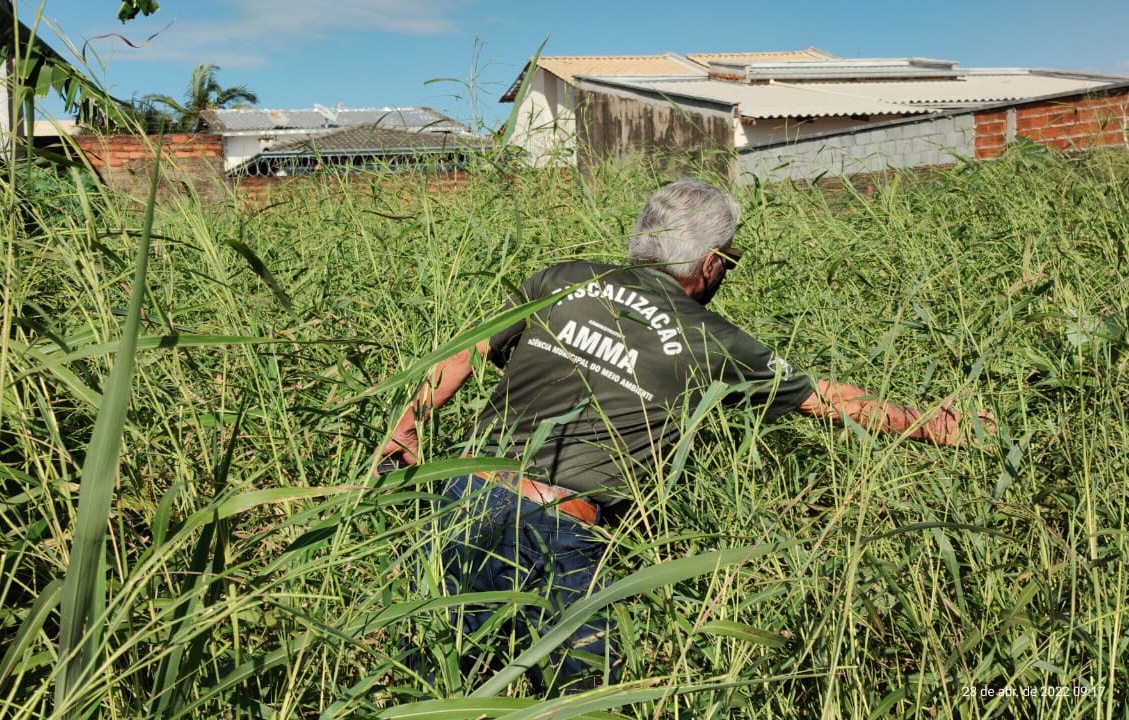 18 mil imóveis são autuados por mato alto e entulho em Goiânia