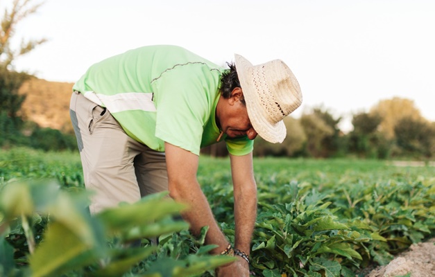 2023: Goiás já ofereceu R$ 140 mi em financiamento para produtores rurais 