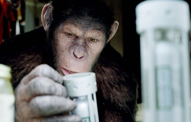 Novo 'Planeta dos Macacos' revela início da história