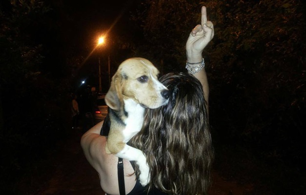 Após resgate de cães, ativistas marcam protesto contra Instituto Royal