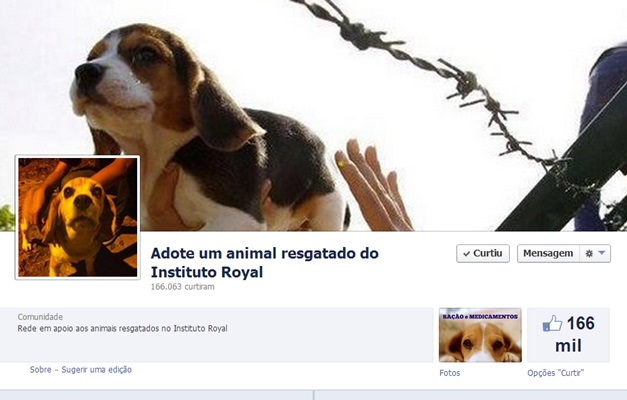 Ativistas criam página no Facebook para ajudar cães resgatados