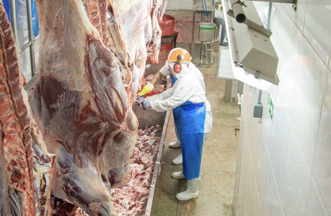 Abate de bovinos em Goiás cresce 25,9% no segundo trimestre