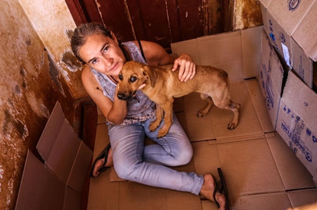 Abrigo em Goiânia  com 700 cães e gatos precisa de ajuda para evitar despejo