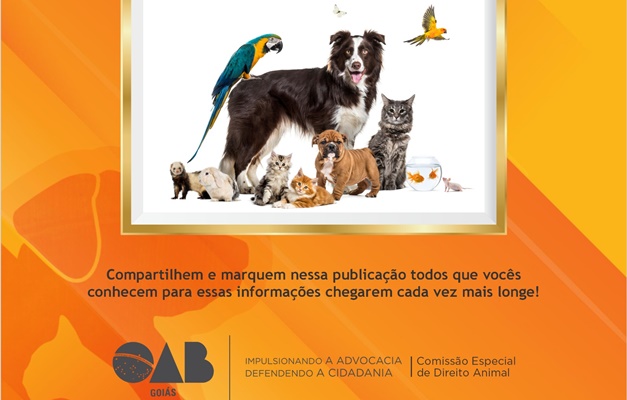Abril Laranja conscientiza para combate à crueldade animal