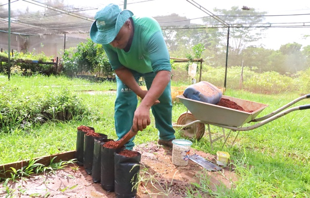 Ação de reflorestamento chega ao Jardins do Cerrado 2, em Goiânia