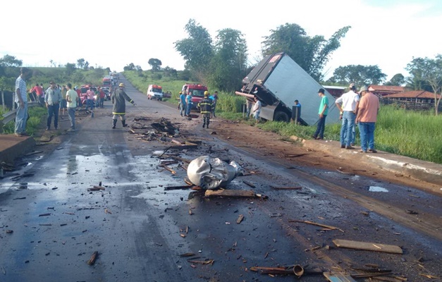 Acidente envolvendo caminhão boiadeiro deixa oito animais mortos na BR-153