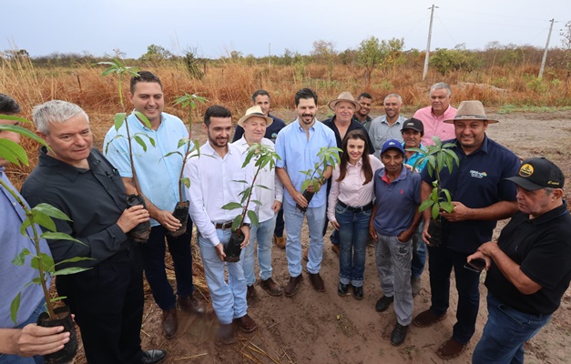 Agricultura quer impulsionar fruticultura goiana com cooperação de Israel