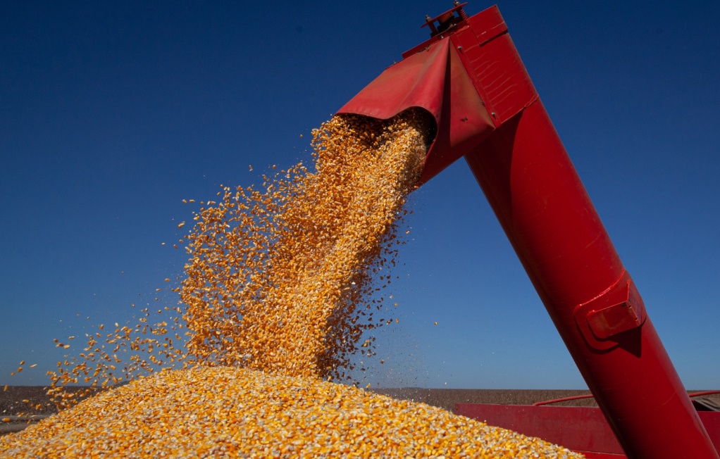 Agro goiano projeta safra histórica de 38,4 milhões de toneladas em 2025