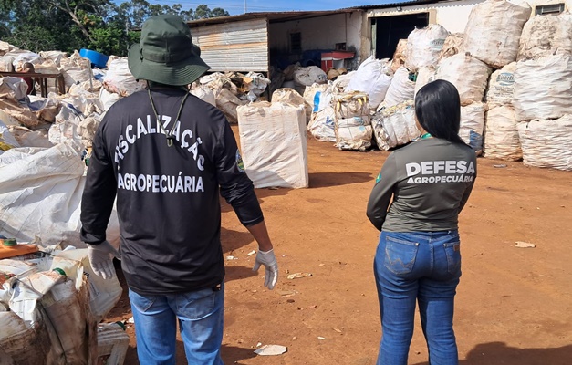 Agrodefesa apreende 10 mil embalagens de agrotóxicos em Trindade e Paraúna