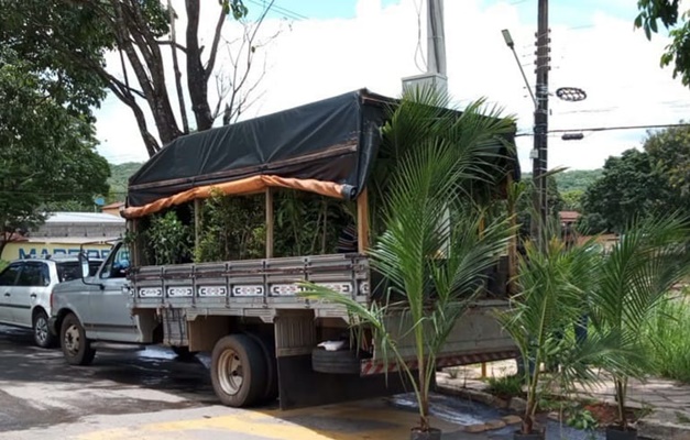 Agrodefesa coíbe comércio ambulante de plantas em Goiás