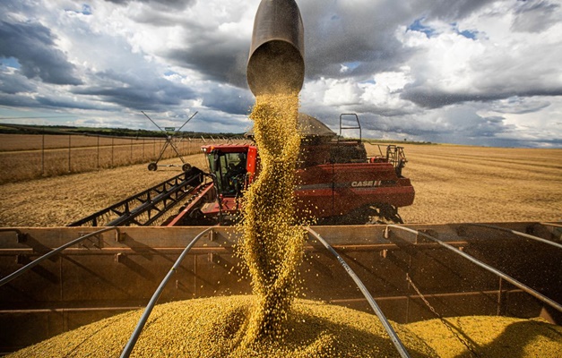 Agronegócio deve ter maior crescimento em 5 anos e ser único motor do PIB
