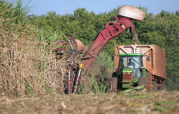 Agronegócio gera quase 10 mil novos empregos em Goiás no 1º semestre