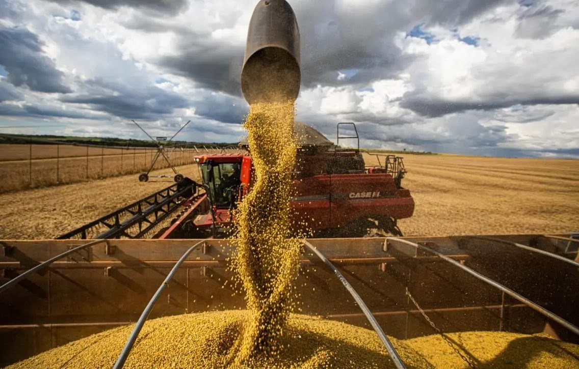 Agropecuária tem expansão de 68% no Cerrado em 2023