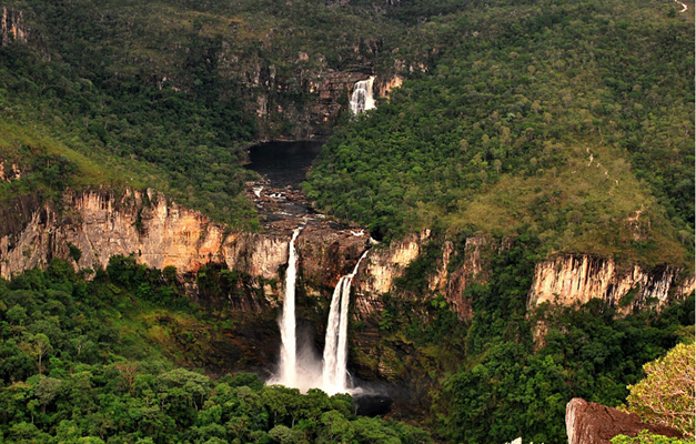 Alertas de desmatamento batem recorde no Cerrado