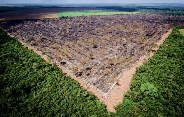 Amazônia bate novo recorde de desmatamento no 1º semestre de 2022