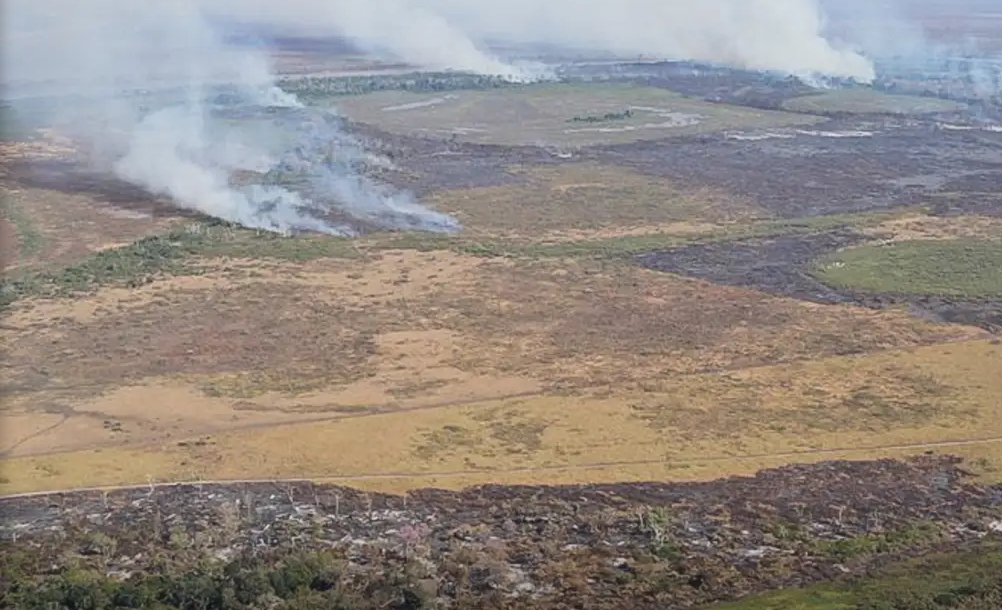 Amazônia e Cerrado: alerta de desmatamento cresce e mobiliza governo