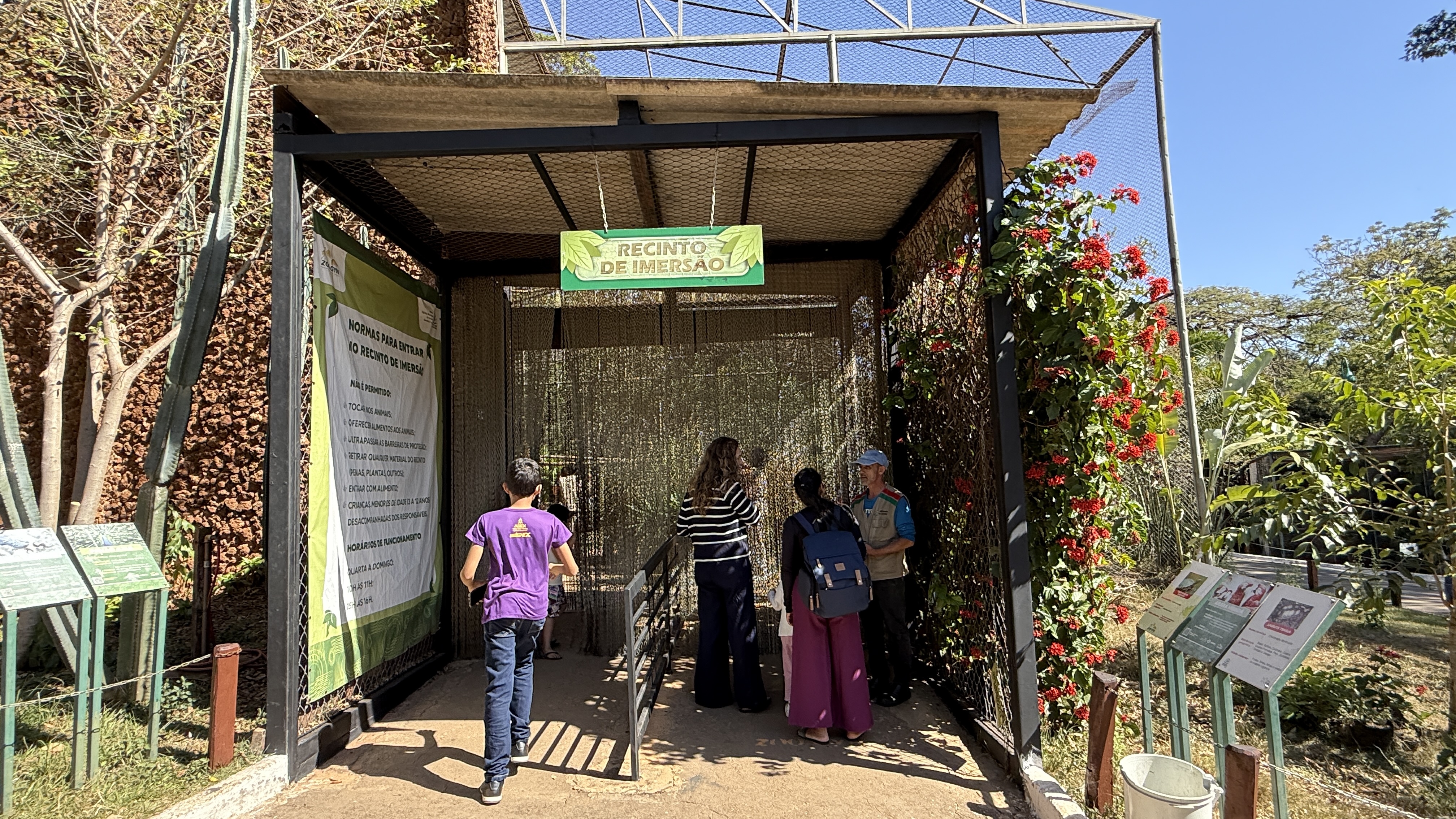 Ambiente imersivo proporciona experiência junto a aves no Zoo de Goiânia