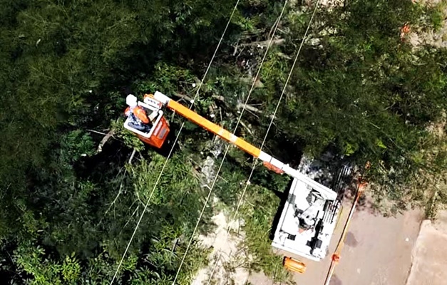 Amma e Equatorial alinham critérios para podas de árvores que afetam fiações