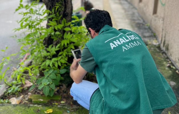 Amma faz poda e substituição de árvore doente no Lago das Rosas