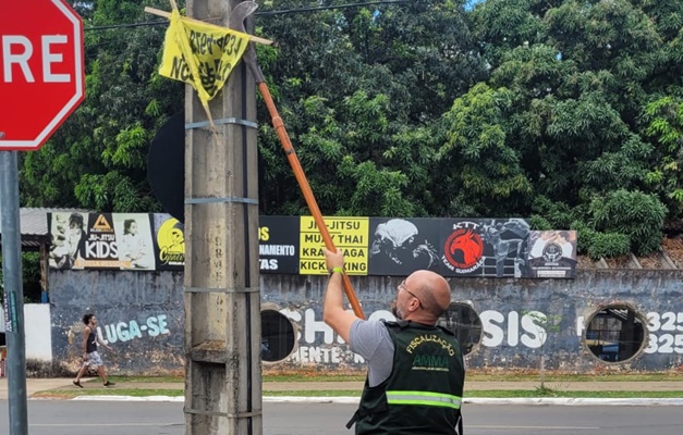 Amma intensifica combate à poluição visual em Goiânia 