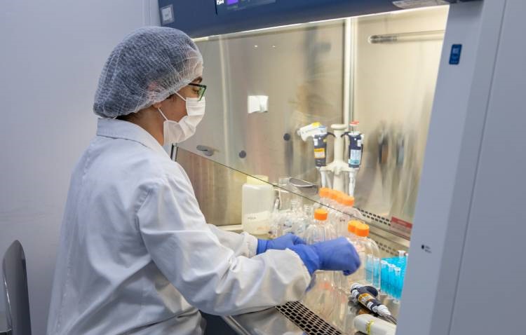 Anvisa libera testes em humanos da vacina do Butantan contra gripe aviária