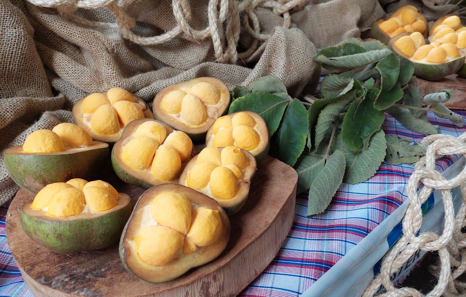 Aparecida de Goiânia recebe festival gastronômico de pequi 