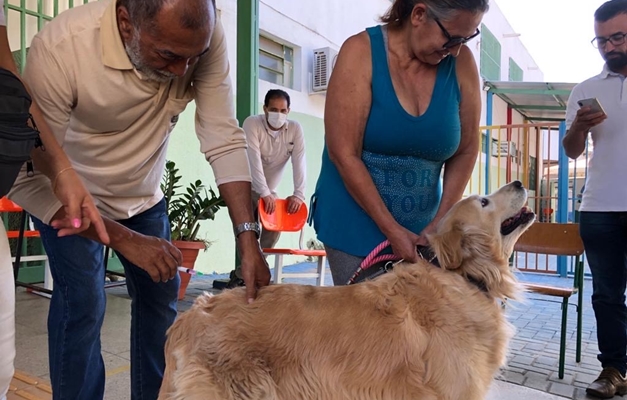 Aparecida de Goiânia reforça vacinação antirrábica nesta semana 