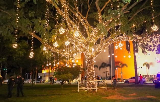 Aparecida tem decoração de Natal com árvore iluminada de 30 metros