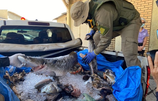 Apreensão de pescado bate recorde em última semana de operação no Araguaia