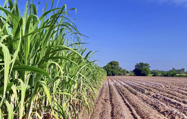 Assembleia goiana aprova benefício fiscal para produção de etanol no estado 