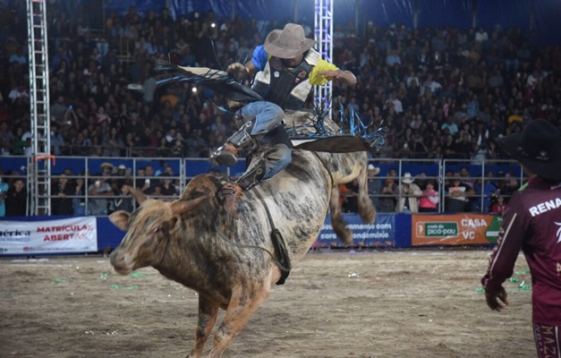 Profissão Atletas De Rodeio