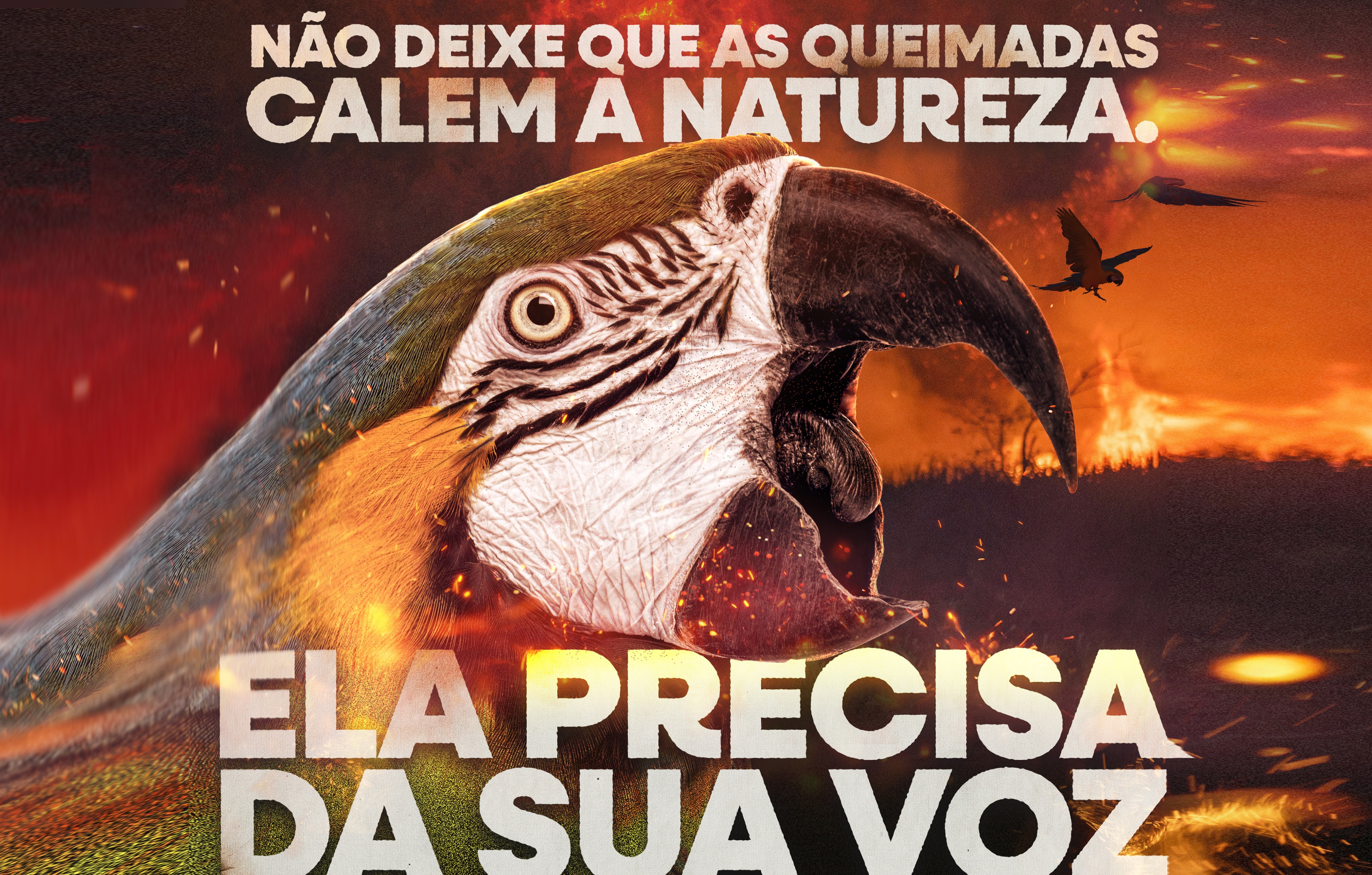 Assembleia Legislativa promove campanha de prevenção às queimadas