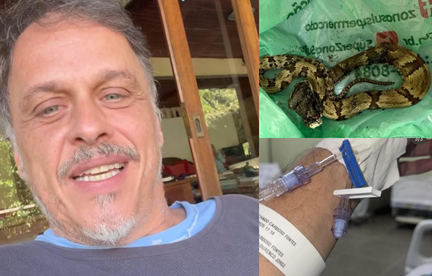 Ator Guilherme Fontes é picado por cobra venenosa perto de casa