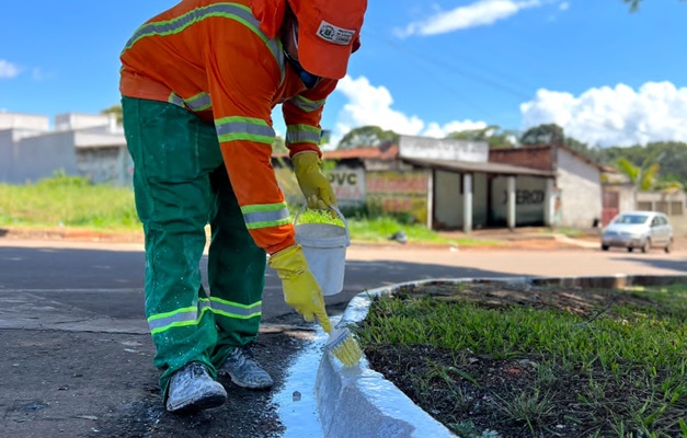 Avenidas Castelo Branco e Pio IIX ganham pintura e limpeza durante a semana