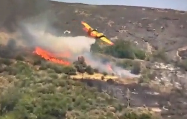 Avião usado para combater incêndios florestais na Grécia cai e deixa dois mortos