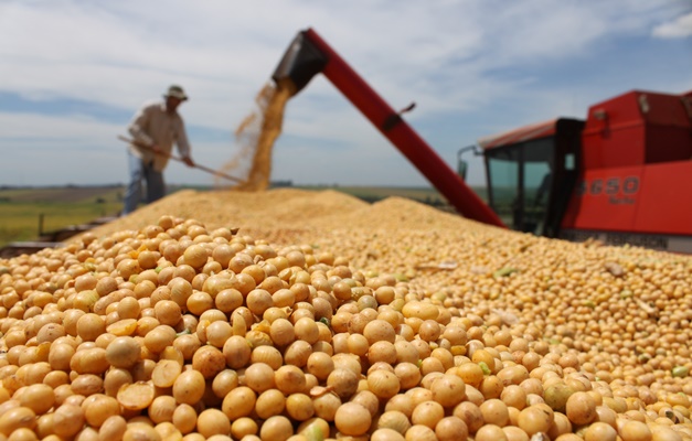 Balança comercial goiana cresce 15% na venda de produtos em abril