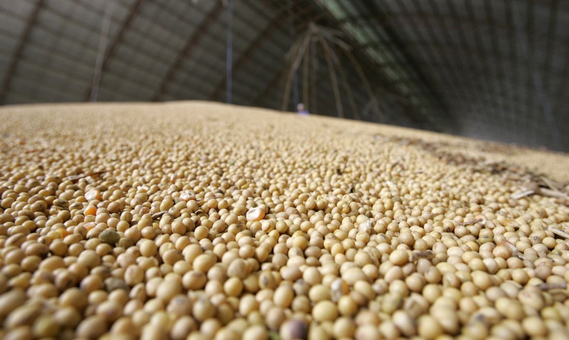 Balança comercial goiana fecha janeiro com superávit de US$ 188,52 milhões