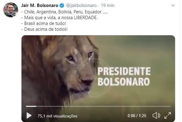 Bolsonaro pede desculpas e diz que vídeo com leão e hienas foi "um erro"