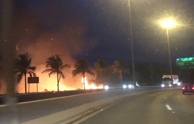 Bombeiros controlam incêndio na GO-020, em Goiânia 