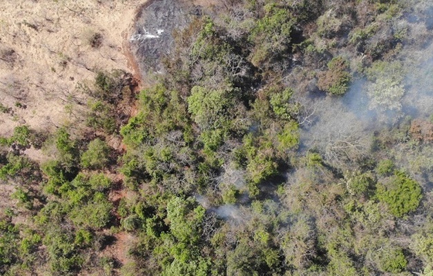 Bombeiros de Goiás alertam para riscos de incêndios em vegetação 