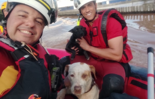 Bombeiros de Goiás resgatam cães e três pessoas no RS