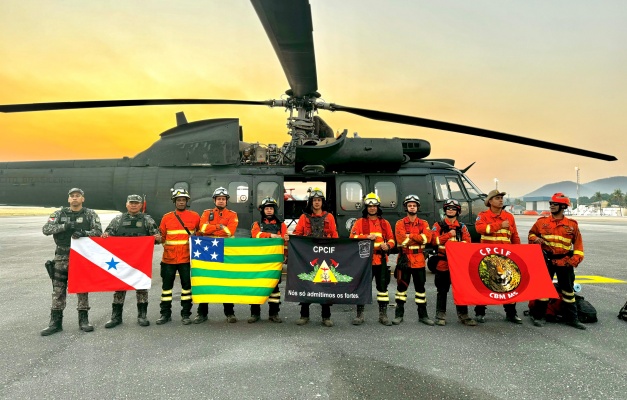 Bombeiros goianos retornam do Pantanal após combaterem incêndios na região