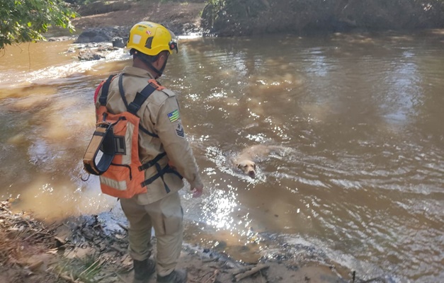 Bombeiros resgatam corpo de vítima de afogamento no rio Sucuri em Itaguaru