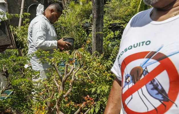 Brasil registra mais de 2 milhões de casos de dengue