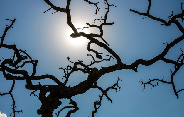 Brasil registra recorde da temperatura média pelo quarto mês seguido