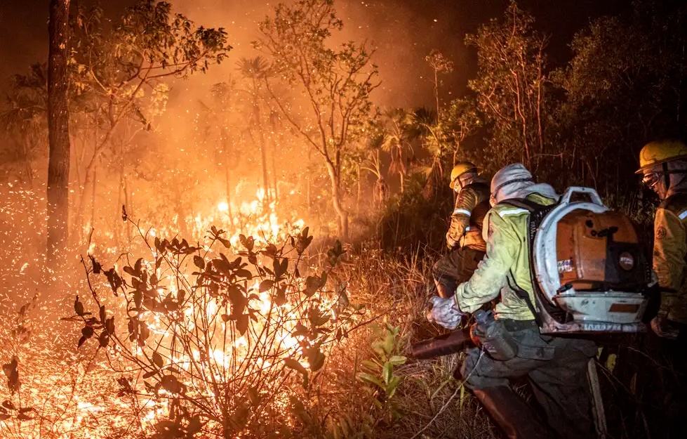 Brasil teve 11,39 milhões de hectares atingidos pelo fogo este ano